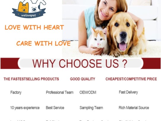  Discover the Best Pet Store in Coos Bay, Oregon: Your Ultimate Guide to Pet Care and Supplies